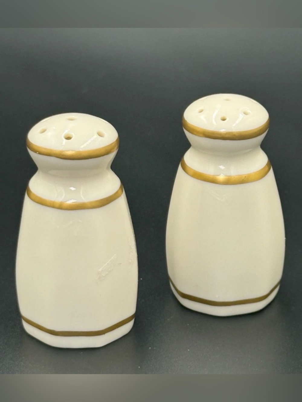 Pickard Platinum Accent White Porcelain Mini Salt and Pepper Shaker Set 2.5"T